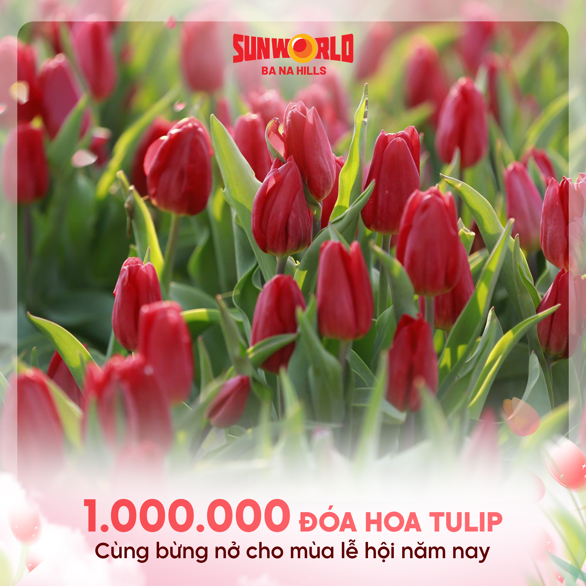 Cánh đồng hoa tulip đỏ rực rỡ tại Bà Nà Hills với chữ "1.000.000 ĐOÁ HOA TULIP" và thông điệp lễ hội.